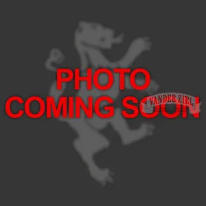 W.F. Wells 37" x 40" Semi-Automatic Horizontal Saw, Model S-40-3C - NEW - Main Image 1