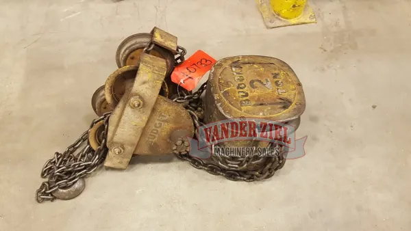 Budgit 2 Ton Chain Fall Hoist